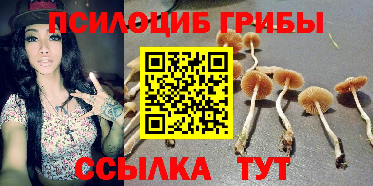 Галлюциногенные грибы Psilocybe  Галлюциногенные грибы Cubensis  Вход с VPN  Первоуральск 