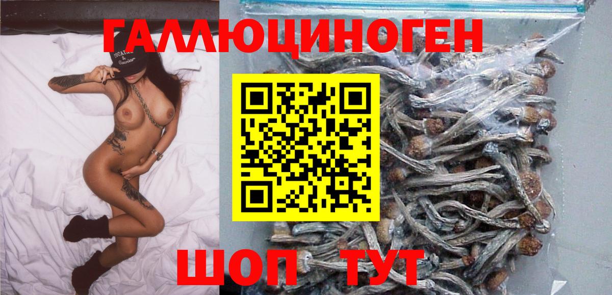 Галлюциногенные грибы Psilocybine cubensis Первоуральск